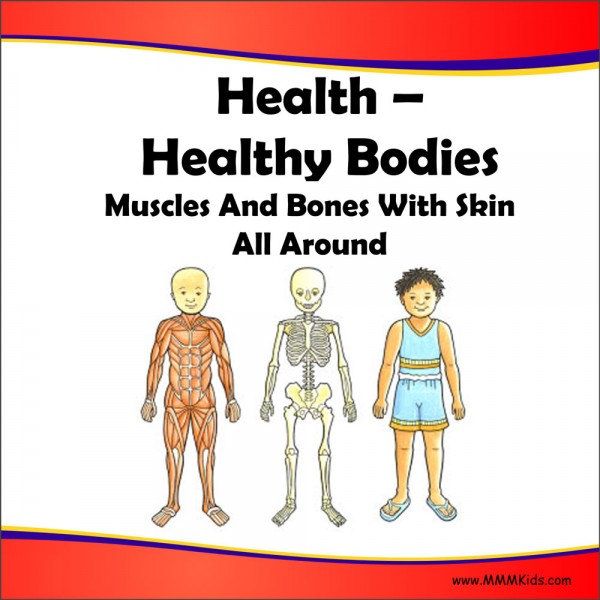 Healthy Bodies Lesson