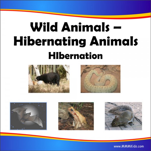 00_Hibernating_Animals