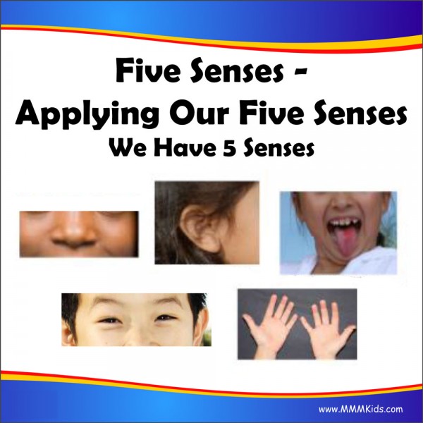 We Have Five Senses