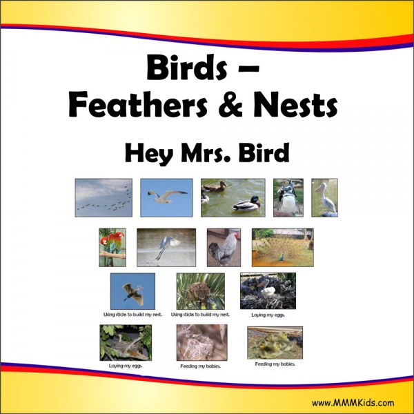 Feathers & Nests