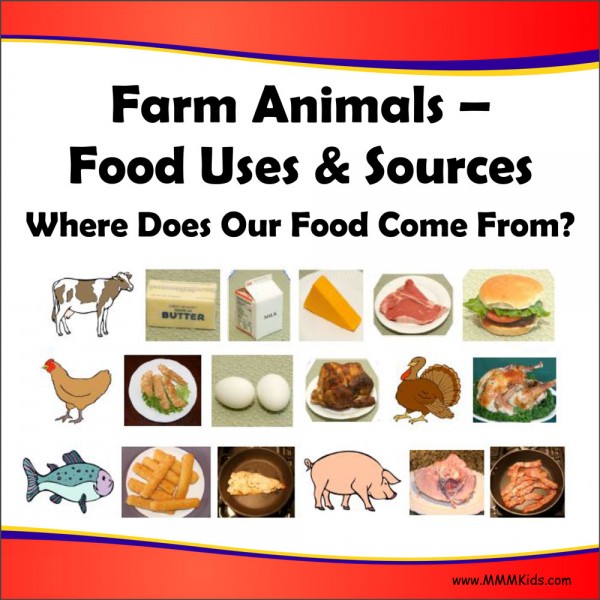 Food Uses & Sources