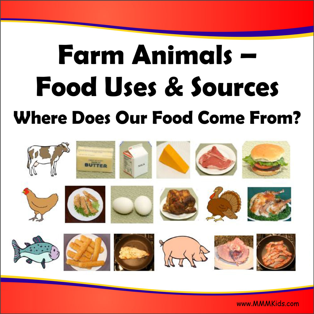 Food Uses & Sources – Where Does Our Food Come From?