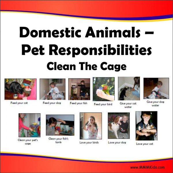 Pet Responsibilities Lesson